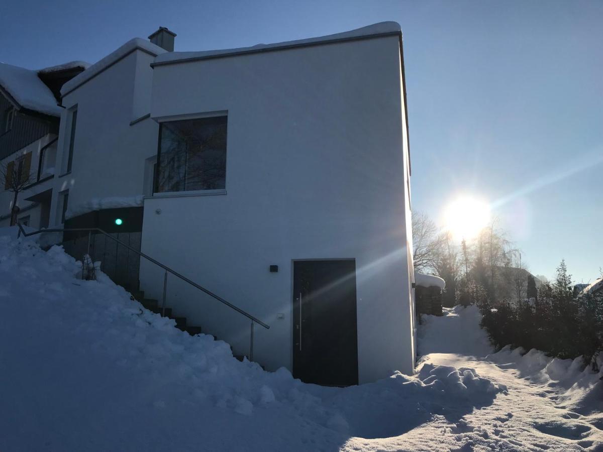 Moderne Ferienwohnung Zum Wohlfuehlen Lindenberg im Allgau Luaran gambar